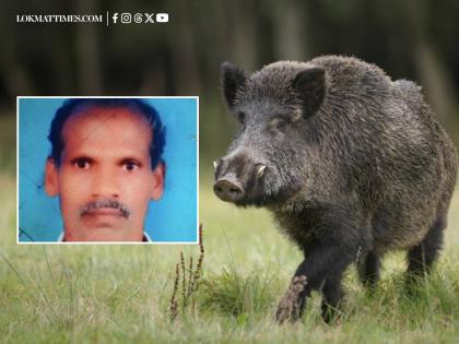 Palghar Horror: Hunters Shoot Man Dead After Mistaking Him for Wild Boar; 8 People Held | Palghar Horror: Hunters Shoot Man Dead After Mistaking Him for Wild Boar; 8 People Held Palghar Horror: Hunters Shoot Man Dead After Mistaking Him for Wild Boar; 8 People Held | Palghar Horror: Hunters Shoot Man Dead After Mistaking Him for Wild Boar; 8 People Held