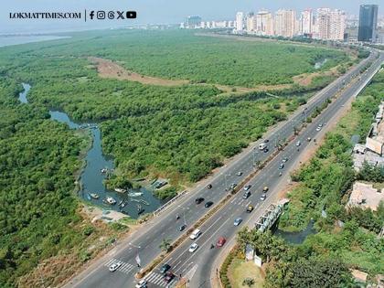 Navi Mumbai's Palm Beach Road Extension: Rs 540 Crore Project to Ease Traffic and Improve Connectivity | Navi Mumbai's Palm Beach Road Extension: Rs 540 Crore Project to Ease Traffic and Improve Connectivity Navi Mumbai's Palm Beach Road Extension: Rs 540 Crore Project to Ease Traffic and Improve Connectivity | Navi Mumbai's Palm Beach Road Extension: Rs 540 Crore Project to Ease Traffic and Improve Connectivity