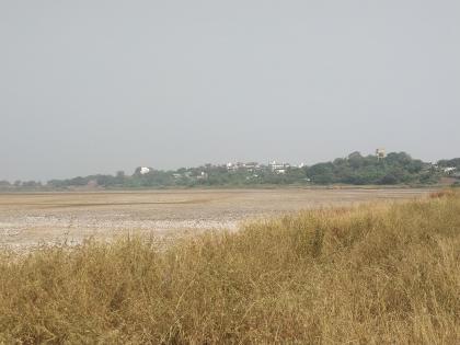Navi Mumbai Wetlands: Maharashtra Government Lists Flamingo City Sites Despite CIDCO Pushback | Navi Mumbai Wetlands: Maharashtra Government Lists Flamingo City Sites Despite CIDCO Pushback Navi Mumbai Wetlands: Maharashtra Government Lists Flamingo City Sites Despite CIDCO Pushback | Navi Mumbai Wetlands: Maharashtra Government Lists Flamingo City Sites Despite CIDCO Pushback