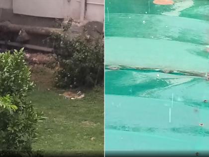 Bihar Weather Update: Hailstorm and Heavy Rainfall Lash Patna; IMD Issues Red Alert for These Districts | Bihar Weather Update: Hailstorm and Heavy Rainfall Lash Patna; IMD Issues Red Alert for These Districts