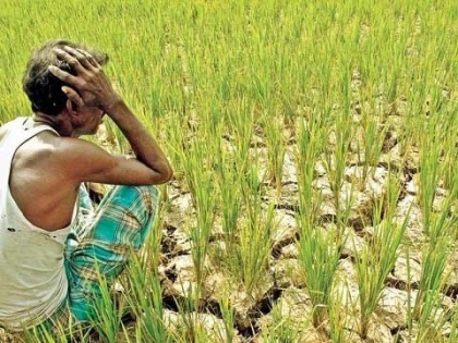 PM Kisan Yojana: Call on these numbers if you still haven't received the promised money by government | PM Kisan Yojana: Call on these numbers if you still haven't received the promised money by government