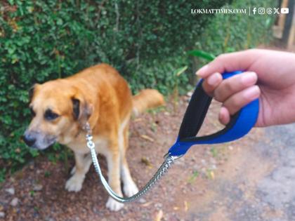 Mumbai: BMC Launches Pet Waste Collection Service for Households Starting Today | Mumbai: BMC Launches Pet Waste Collection Service for Households Starting Today Mumbai: BMC Launches Pet Waste Collection Service for Households Starting Today | Mumbai: BMC Launches Pet Waste Collection Service for Households Starting Today