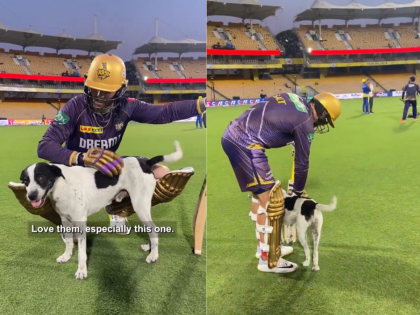 IPL 2024: Phil Salt Shares Heartwarming Moment with Dog During Practice Session (Watch Video) | IPL 2024: Phil Salt Shares Heartwarming Moment with Dog During Practice Session (Watch Video)