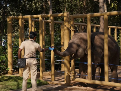Vantara Sets Global Benchmark in Animal Care | Vantara Sets Global Benchmark in Animal Care