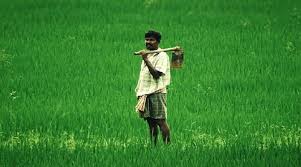 Rs 2,616 crore transferred to over 46 lakh eligible farmers under PM-KISAN scheme | Rs 2,616 crore transferred to over 46 lakh eligible farmers under PM-KISAN scheme