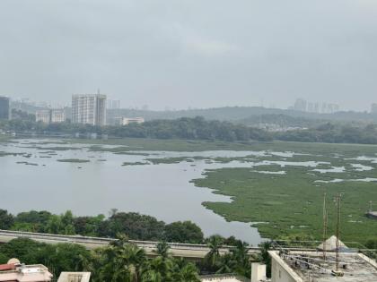 Environmentalists Urge Devotees to Avoid Immersions in Polluted Powai Lake Ahead of Ganeshotsav | Environmentalists Urge Devotees to Avoid Immersions in Polluted Powai Lake Ahead of Ganeshotsav Environmentalists Urge Devotees to Avoid Immersions in Polluted Powai Lake Ahead of Ganeshotsav | Environmentalists Urge Devotees to Avoid Immersions in Polluted Powai Lake Ahead of Ganeshotsav