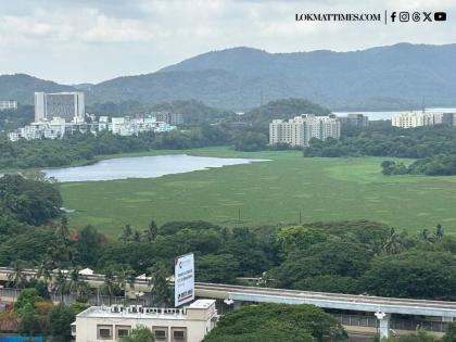 Mumbai: Powai Lake Choked by Hyacinth, Residents Launch 'Save Powai Lake' Campaign | Mumbai: Powai Lake Choked by Hyacinth, Residents Launch 'Save Powai Lake' Campaign Mumbai: Powai Lake Choked by Hyacinth, Residents Launch 'Save Powai Lake' Campaign | Mumbai: Powai Lake Choked by Hyacinth, Residents Launch 'Save Powai Lake' Campaign