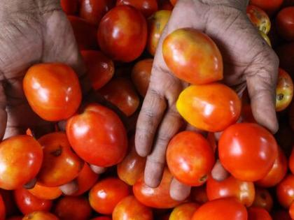 Women leaves husband after he uses tomatoes while cooking | Women leaves husband after he uses tomatoes while cooking