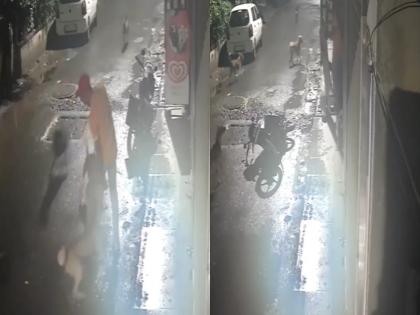 Pune: Man Attacked by Stray Dogs in Pimpri-Chinchwad, Locals Demand Action (Watch Video) | Pune: Man Attacked by Stray Dogs in Pimpri-Chinchwad, Locals Demand Action (Watch Video) Pune: Man Attacked by Stray Dogs in Pimpri-Chinchwad, Locals Demand Action (Watch Video) | Pune: Man Attacked by Stray Dogs in Pimpri-Chinchwad, Locals Demand Action (Watch Video)