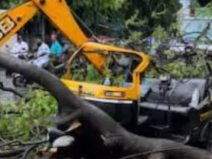 Pune: 76-Year-Old Woman Killed After Tree Falls on Rickshaw; Second Such Incident in 3 Days | Pune: 76-Year-Old Woman Killed After Tree Falls on Rickshaw; Second Such Incident in 3 Days Pune: 76-Year-Old Woman Killed After Tree Falls on Rickshaw; Second Such Incident in 3 Days | Pune: 76-Year-Old Woman Killed After Tree Falls on Rickshaw; Second Such Incident in 3 Days
