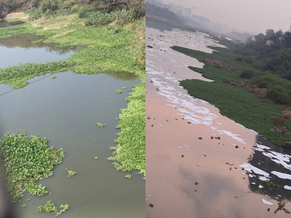 Pune, Pimpri Chinchwad residents raise concerns over polluted rivers | Pune, Pimpri Chinchwad residents raise concerns over polluted rivers