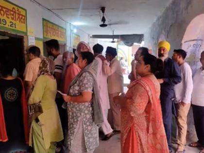 Punjab Municipal Elections 2024: Voting for Civic Body Polls Underway Amid Tight Security