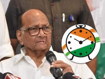 "I am not worried about the clock symbol," says Sharad Pawar | "I am not worried about the clock symbol," says Sharad Pawar "I am not worried about the clock symbol," says Sharad Pawar | "I am not worried about the clock symbol," says Sharad Pawar