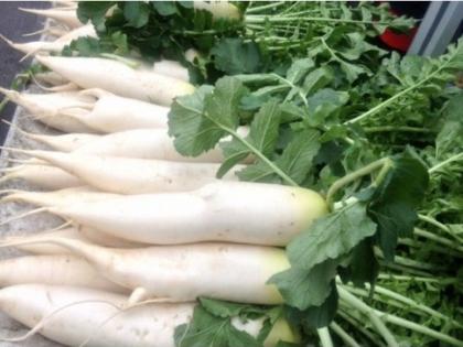 Tired and Low on Energy? Your Liver May Need This Everyday Vegetable | Tired and Low on Energy? Your Liver May Need This Everyday Vegetable Tired and Low on Energy? Your Liver May Need This Everyday Vegetable | Tired and Low on Energy? Your Liver May Need This Everyday Vegetable