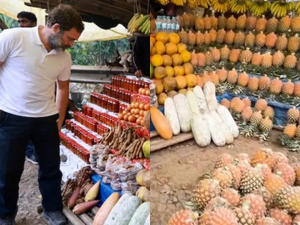'Best Pineapples Ever': Rahul Gandhi Enjoys Local Fruit in Meghalaya During Bharat Jodo Nyay Yatra (Watch Video) | 'Best Pineapples Ever': Rahul Gandhi Enjoys Local Fruit in Meghalaya During Bharat Jodo Nyay Yatra (Watch Video)