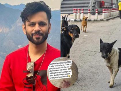 I Also Love Dogs But...: Rahul Vaidya Backs Court’s Ruling on Stray Dogs, Recalls Personal Dog Bite Incident | I Also Love Dogs But...: Rahul Vaidya Backs Court’s Ruling on Stray Dogs, Recalls Personal Dog Bite Incident