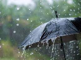 Maharashtra Rains: Extremely Heavy Showers Force Raigad Authorities to Close Schools in 6 Talukas | Maharashtra Rains: Extremely Heavy Showers Force Raigad Authorities to Close Schools in 6 Talukas Maharashtra Rains: Extremely Heavy Showers Force Raigad Authorities to Close Schools in 6 Talukas | Maharashtra Rains: Extremely Heavy Showers Force Raigad Authorities to Close Schools in 6 Talukas