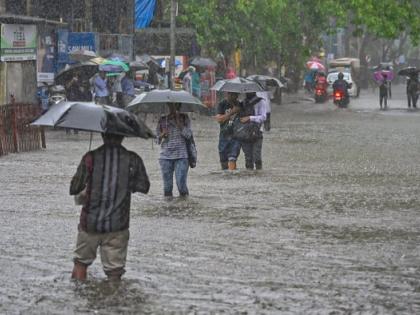 Heavy rains continue to wreak havoc in Vidarbha; 29 fatalities reported in four days | Heavy rains continue to wreak havoc in Vidarbha; 29 fatalities reported in four days