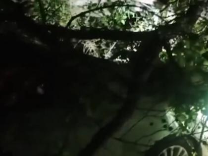 Rajasthan : Sudden Storm in Dholpur Uproots Trees, Damages Homes, Injures Over a Dozen (Watch Video) | Rajasthan : Sudden Storm in Dholpur Uproots Trees, Damages Homes, Injures Over a Dozen (Watch Video) Rajasthan : Sudden Storm in Dholpur Uproots Trees, Damages Homes, Injures Over a Dozen (Watch Video) | Rajasthan : Sudden Storm in Dholpur Uproots Trees, Damages Homes, Injures Over a Dozen (Watch Video)