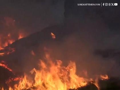 Jammu and Kashmir: Fire Erupts at Rajouri Forest, Efforts underway to Douse Blaze (Watch Video) | Jammu and Kashmir: Fire Erupts at Rajouri Forest, Efforts underway to Douse Blaze (Watch Video) Jammu and Kashmir: Fire Erupts at Rajouri Forest, Efforts underway to Douse Blaze (Watch Video) | Jammu and Kashmir: Fire Erupts at Rajouri Forest, Efforts underway to Douse Blaze (Watch Video)