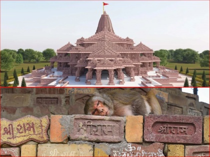 'Beautiful Incident': Monkey Enters Ram Mandir's Sanctum Sanctorum, Temple Trust Reacts | 'Beautiful Incident': Monkey Enters Ram Mandir's Sanctum Sanctorum, Temple Trust Reacts