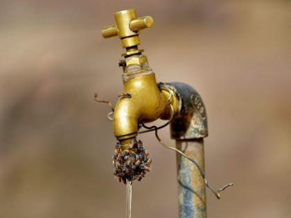 Mumbai to face 10% water cut from July 1 as lake levels remain low despite rain | Mumbai to face 10% water cut from July 1 as lake levels remain low despite rain