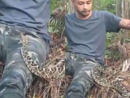 VIDEO: Poisonous snake sits on lap of a young man, see how he saved his life | VIDEO: Poisonous snake sits on lap of a young man, see how he saved his life