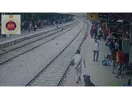 VIDEO! RPF jawan saves life of passenger who fell on tracks | VIDEO! RPF jawan saves life of passenger who fell on tracks