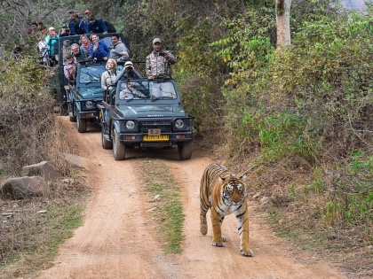 Ranthambhore National Park - Best time for safari ride | Ranthambhore National Park - Best time for safari ride