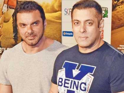 Sohail Khan to revive his dream project Sher Khan with superstar brother Salman Khan | Sohail Khan to revive his dream project Sher Khan with superstar brother Salman Khan