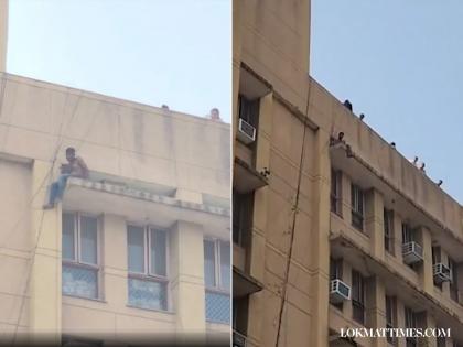 Delhi: Intoxicated Man Attempts to Jump from Sanjay Gandhi Memorial Hospital Roof in Mongolpuri (Watch) | Delhi: Intoxicated Man Attempts to Jump from Sanjay Gandhi Memorial Hospital Roof in Mongolpuri (Watch) Delhi: Intoxicated Man Attempts to Jump from Sanjay Gandhi Memorial Hospital Roof in Mongolpuri (Watch) | Delhi: Intoxicated Man Attempts to Jump from Sanjay Gandhi Memorial Hospital Roof in Mongolpuri (Watch)
