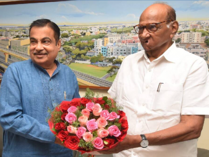 Nagpur: Meeting between Nitin Gadkari and Sharad Pawar fuels political speculations in state | Nagpur: Meeting between Nitin Gadkari and Sharad Pawar fuels political speculations in state Nagpur: Meeting between Nitin Gadkari and Sharad Pawar fuels political speculations in state | Nagpur: Meeting between Nitin Gadkari and Sharad Pawar fuels political speculations in state