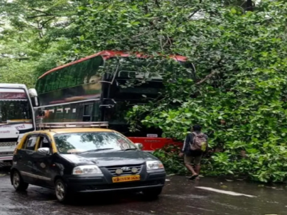 Mumbai: Tree falls on AC double-decker e-bus of BEST, no casualties reported | Mumbai: Tree falls on AC double-decker e-bus of BEST, no casualties reported