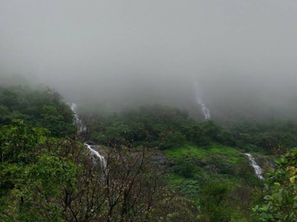 Pune district ghat areas receive heavy rainfall | Pune district ghat areas receive heavy rainfall