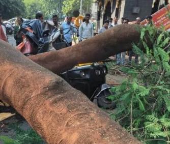 Pune: Tree collapse near Kothrud's Dashbhuja Ganpati temple injures four, one hospitalised | Pune: Tree collapse near Kothrud's Dashbhuja Ganpati temple injures four, one hospitalised