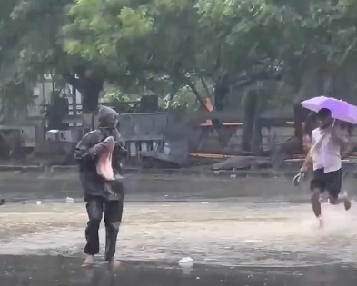 Watch: Chennai streets transform into fishing spots after cyclone 'Michaung' brings unexpected aquatic visitors | Watch: Chennai streets transform into fishing spots after cyclone 'Michaung' brings unexpected aquatic visitors