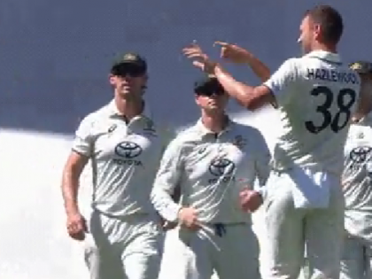 AUS vs WI, 2nd Test: Josh Hazlewood Playfully Shoos Away COVID-Positive Cameron Green During Celebration, Watch Video | AUS vs WI, 2nd Test: Josh Hazlewood Playfully Shoos Away COVID-Positive Cameron Green During Celebration, Watch Video