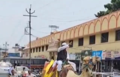 Maharashtra Lok Sabha Election 2024: Independent Candidate from Aurangabad Rides On Camel To File Nomination (Watch) | Maharashtra Lok Sabha Election 2024: Independent Candidate from Aurangabad Rides On Camel To File Nomination (Watch)