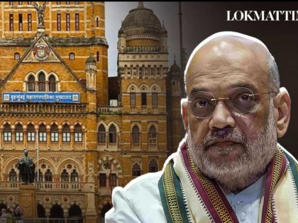 Municipal Elections: BJP and Shiv Sena MPs Meet Amit Shah to Discuss Strategy for 2025 BMC Elections