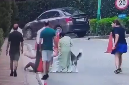 Gurugram Dog Attack: Woman Mauled by Pet Husky During Walk Inside Residential Society (Watch Video) | Gurugram Dog Attack: Woman Mauled by Pet Husky During Walk Inside Residential Society (Watch Video) Gurugram Dog Attack: Woman Mauled by Pet Husky During Walk Inside Residential Society (Watch Video) | Gurugram Dog Attack: Woman Mauled by Pet Husky During Walk Inside Residential Society (Watch Video)