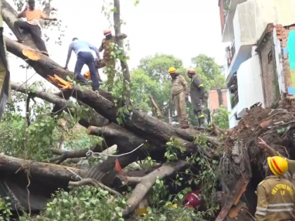 Uttar Pradesh: 1 Dead, 4 Injured After Tree Falls Near Fish Market in Lucknow’s Kaiserbagh Area (Watch Video) | Uttar Pradesh: 1 Dead, 4 Injured After Tree Falls Near Fish Market in Lucknow’s Kaiserbagh Area (Watch Video)