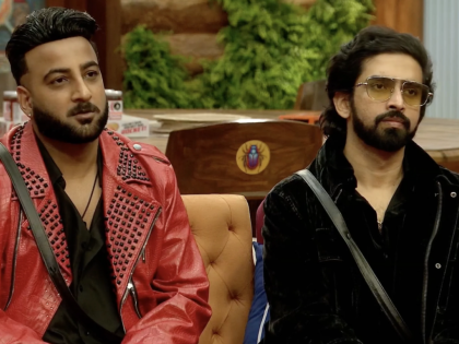 Bigg Boss 19: Shehbaz Badesha Appeals Fans to Vote for Amaal Mallik Ahead of Grand Finale | Bigg Boss 19: Shehbaz Badesha Appeals Fans to Vote for Amaal Mallik Ahead of Grand Finale