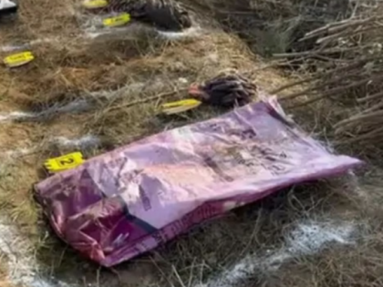 Punjab Shocker: Missing 14-Year-Old Boy Found Murdered Near Jalalabad | Punjab Shocker: Missing 14-Year-Old Boy Found Murdered Near Jalalabad Punjab Shocker: Missing 14-Year-Old Boy Found Murdered Near Jalalabad | Punjab Shocker: Missing 14-Year-Old Boy Found Murdered Near Jalalabad