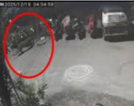 Leopard Spotted In Pune: Second Consecutive Sighting Triggers Fresh Panic in Keshav Nagar | Leopard Spotted In Pune: Second Consecutive Sighting Triggers Fresh Panic in Keshav Nagar Leopard Spotted In Pune: Second Consecutive Sighting Triggers Fresh Panic in Keshav Nagar | Leopard Spotted In Pune: Second Consecutive Sighting Triggers Fresh Panic in Keshav Nagar