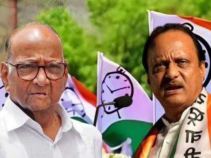 NCP vs NCP: EC holds hearing on party name and symbol dispute, next hearing set for October 9 | NCP vs NCP: EC holds hearing on party name and symbol dispute, next hearing set for October 9 NCP vs NCP: EC holds hearing on party name and symbol dispute, next hearing set for October 9 | NCP vs NCP: EC holds hearing on party name and symbol dispute, next hearing set for October 9