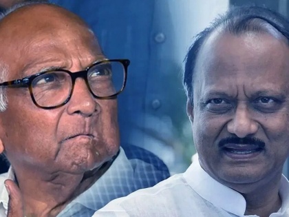Some members left NCP to avoid ED probe: Sharad Pawar's dig at Ajit Pawar | Some members left NCP to avoid ED probe: Sharad Pawar's dig at Ajit Pawar