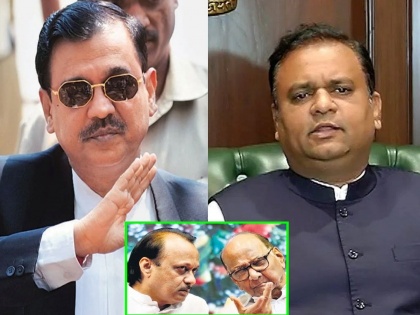 Legal Expert Ujjwal Nikam Weighs on the Potential Outcome of Vidhan Sabha Speaker's NCP MLA Disqualification Verdict | Legal Expert Ujjwal Nikam Weighs on the Potential Outcome of Vidhan Sabha Speaker's NCP MLA Disqualification Verdict