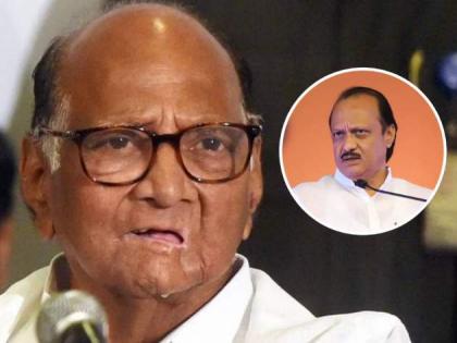 Sharad Pawar hits out at Ajit Pawar over EC move says, won't allow anyone to snatch NCP symbol | Sharad Pawar hits out at Ajit Pawar over EC move says, won't allow anyone to snatch NCP symbol Sharad Pawar hits out at Ajit Pawar over EC move says, won't allow anyone to snatch NCP symbol | Sharad Pawar hits out at Ajit Pawar over EC move says, won't allow anyone to snatch NCP symbol