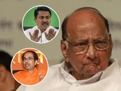 NCP chief Sharad Pawar's statement sparks debate on MVA's alliance for 2024 elections | NCP chief Sharad Pawar's statement sparks debate on MVA's alliance for 2024 elections