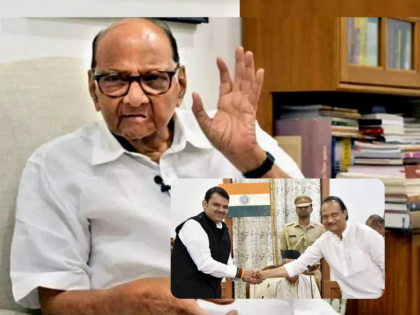 Political circles abuzz with Pawar's statement on future alliance with BJP | Political circles abuzz with Pawar's statement on future alliance with BJP